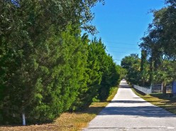 Tarpon Glen