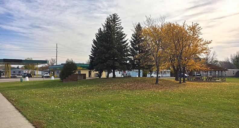 Meadow Park