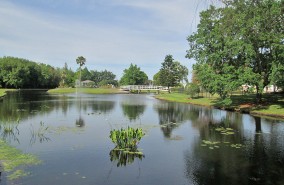 Country Place    