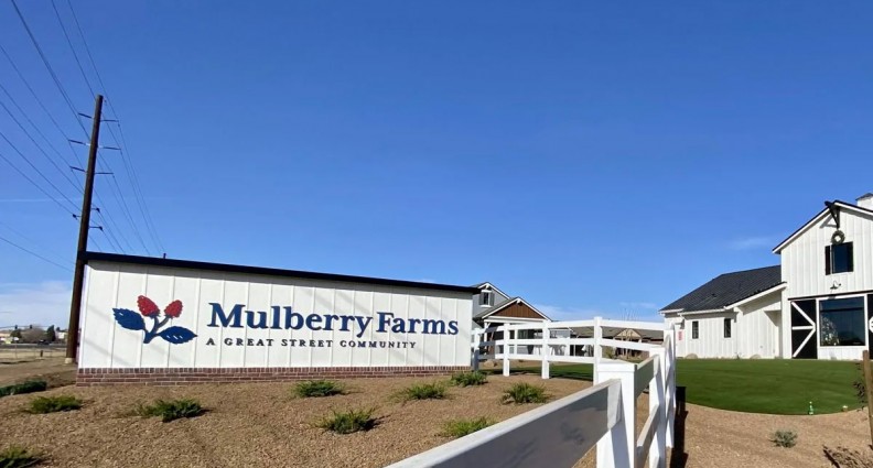 Mulberry Farms