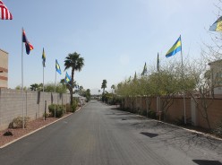 Whispering Palms