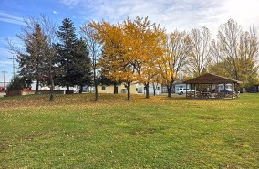 Meadow Park
