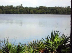 Lake Magic RV Resort
