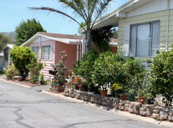 Sea Oaks